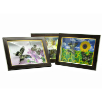 Framed butterflies on the background (2 pcs.) (21x16 cm)