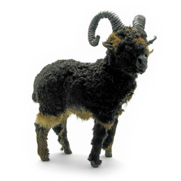 Vintage lamb (natural fur)(12