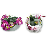 Orchid flower on a glass stand (d-26 cm)