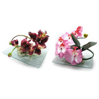 Orchid flower on a glass stand (20x15cm)