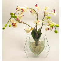 flower in glass
