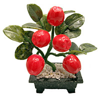 Apple tree (5 fruits) (20x13x8 cm)