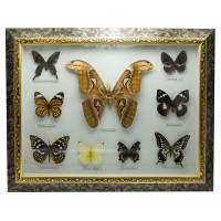 Бабочки в рамке (9шт.)(16")(46х36 см)