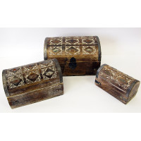 Chests mango tree (ex. 3 pcs.)