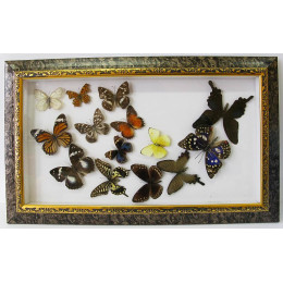 Бабочки в рамке "Стая" (50х30 см)