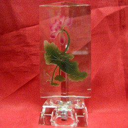 prism crystal with backlight