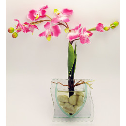 Flower in glass (GLW-05*52*57)