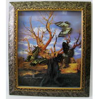 Метелики в рамці (3шт.)(12")