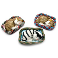 Kitten sleeping on a rug (15x11x5 cm)