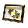 Бабочки в рамке "На листе" (20,5х16,5х3,5 см)