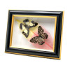 Бабочки в рамке "На листе" (20,5х16,5х3,5 см)
