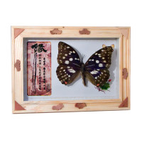 Butterfly in a frame (17.3x12.3x2.5 cm)