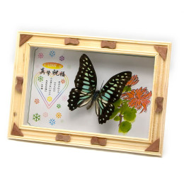 Butterfly in a frame (17.3x12.3x2.5 cm)