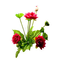 Lotus flowers (50 cm)