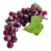 Bunch of grapes (30x10x7 cm)