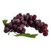 Bunch of grapes (30x10x7 cm)