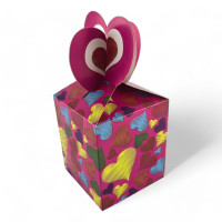Gift box “Raspberry Seduction” (20x9x9 cm)