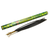 Arruda (Ruta) (Hem) (25 / up) square