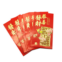 Gift envelope (6 pcs / pack) (16.5x9.5 cm)