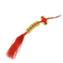 Монети із вузлом щастя (14 см)