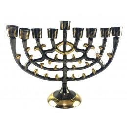 Candlestick "Hanukkiah" bronze (20x26x8.5 cm)