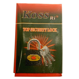 Замок навісний (6х4х см)