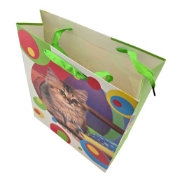 Gift cardboard package 