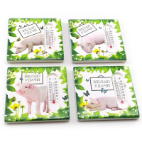 Магнит на холодильник "Свинка с термометром"  (7,5х7,5х1 см)