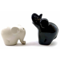 Salt and pepper shaker 