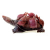 Jade carved turtles (25x14x10 cm)A