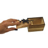 Саламандра у коробці (9,5х6х6,5 см)