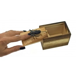 Тарантул в коробке (9,5х6х6,5 см)