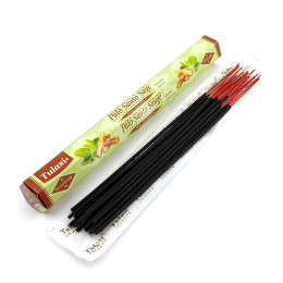 Palo Santo Sage (Palo Santo and Sage)(Tulasi)(6/pack) hexagon