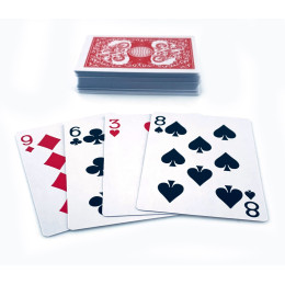 Картки із пластиковим покриттям червона сорочка