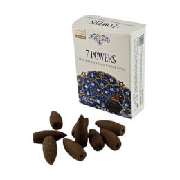 Seven Power BackFlow Cones (Darshan) reverse flow cones