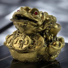 Feng Shui Toad for Wealth Attraction with Coin (6x4x5 cm)