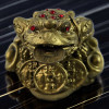 Feng Shui Toad for Wealth Attraction with Coin (6x4x5 cm)