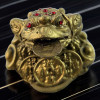 Feng Shui Toad for Wealth Attraction with Coin (6x4x5 cm)