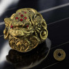 Feng Shui Toad for Wealth Attraction with Coin (6x4x5 cm)