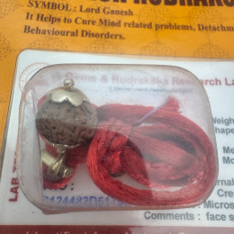 Talisman amulet Rudraksha Ganesh (1 Mukha / 1 Face)