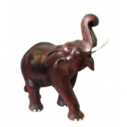 Слон деревянный резной (50х50х24 см)